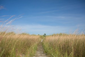 lauren_yoga_shoot_1-105